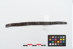 Foto von Eisenraspel (NHMW-PRAE-024445)
